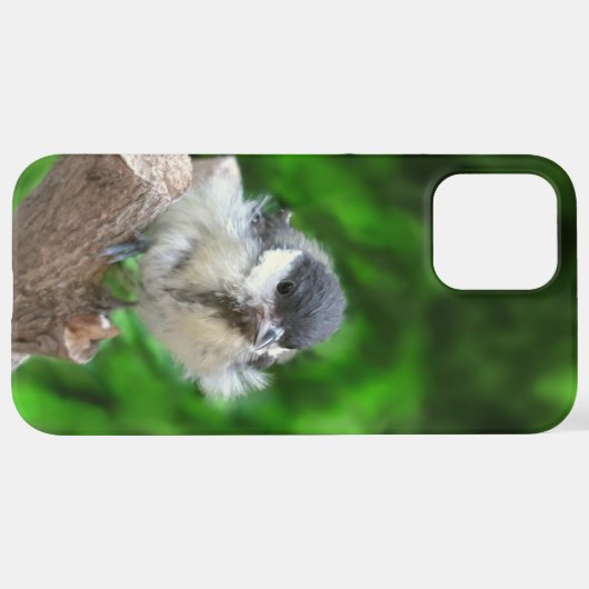 Tidi mijn vogel de Parus Major iPhone Hoesje (Achterkant horizontaal)