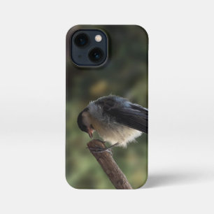 Tidi mijn vogel de Parus Major iPhone 13 Mini Hoesje