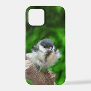 Tidi mijn vogel de Parus Major iPhone 12 Pro Hoesje