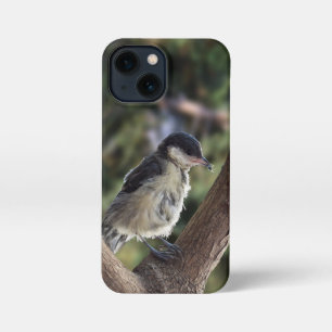 Tidi mijn vogel de Parus Major iPhone 13 Mini Hoesje
