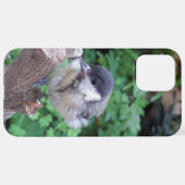 Tidi mijn vogel de Parus Major iPhone Hoesje (Achterkant horizontaal)