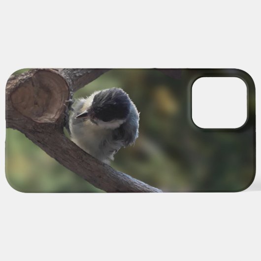 Tidi mijn vogel de Parus Major iPhone Hoesje (Achterkant horizontaal)