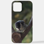 Tidi mijn vogel de Parus Major iPhone Hoesje (Achterkant)