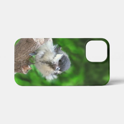 Tidi mijn vogel de Parus Major iPhone Hoesje (Achterkant horizontaal)