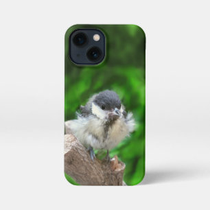 Tidi mijn vogel de Parus Major iPhone 13 Mini Hoesje
