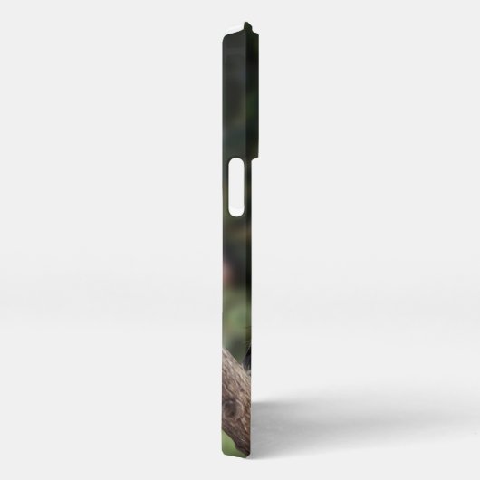 Tidi mijn vogel de Parus Major iPhone Hoesje (Rechterkant)