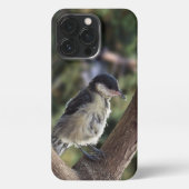 Tidi mijn vogel de Parus Major iPhone Hoesje (Achterkant)