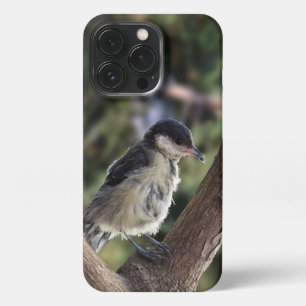 Tidi mijn vogel de Parus Major iPhone 13 Pro Hoesje