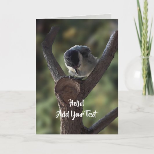 Tidi mijn vogel de Parus Major Kaart (Voorkant)