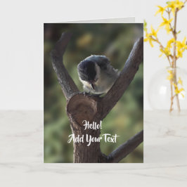 Tidi mijn vogel de Parus Major Kaart