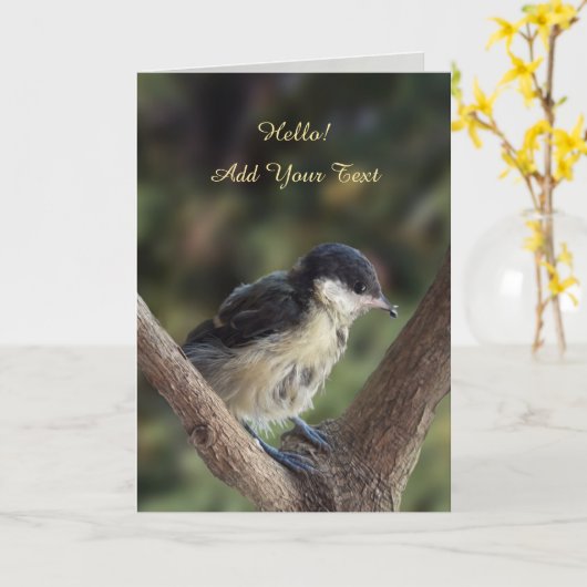 Tidi mijn vogel de Parus Major Kaart (Gele Bloem)