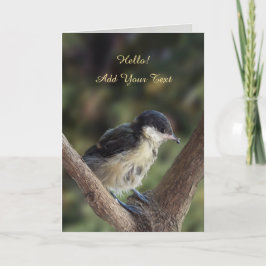 Tidi mijn vogel de Parus Major Kaart