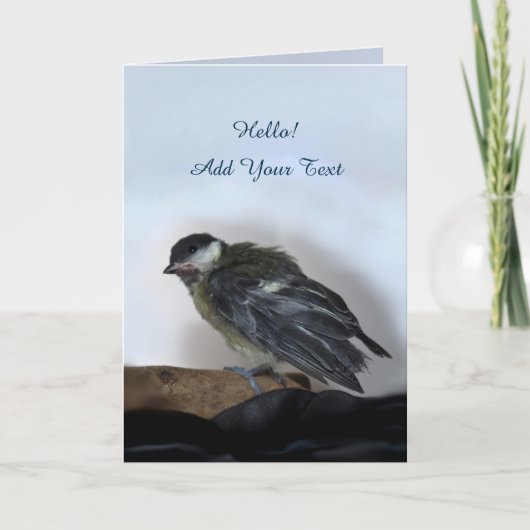 Tidi mijn vogel de Parus Major Kaart (Voorkant)