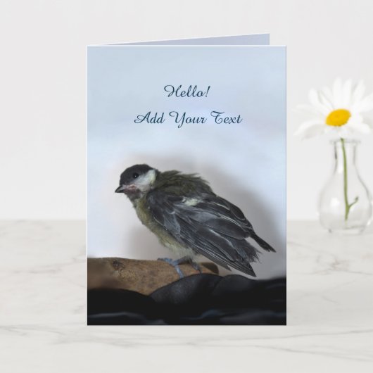 Tidi mijn vogel de Parus Major Kaart (Kleine Plant)