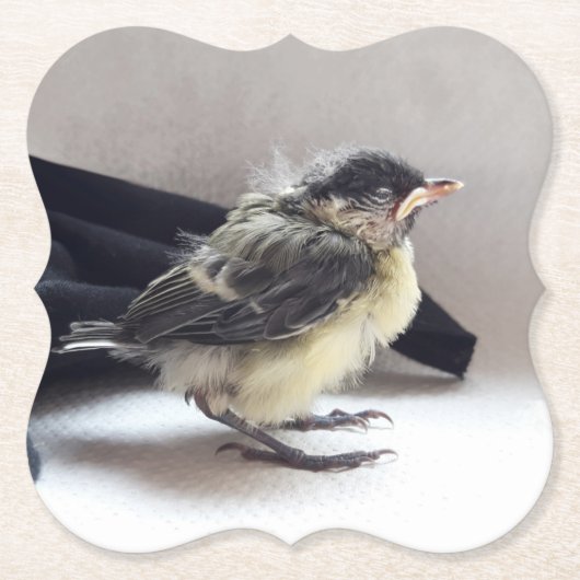 Tidi mijn vogel de Parus Major Kartonnen Onderzetters (Voorkant)