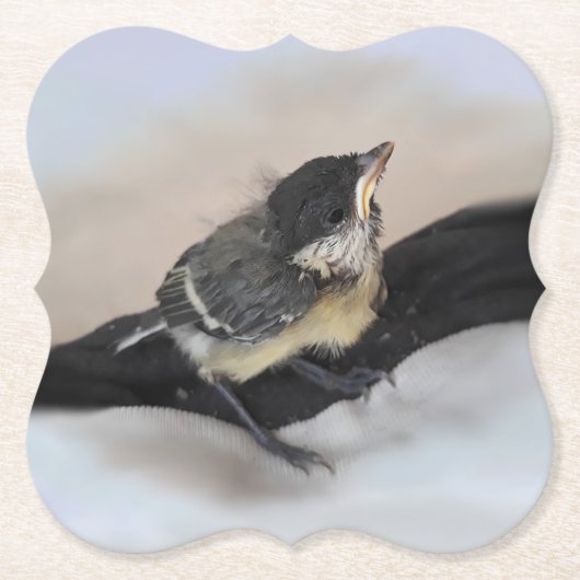 Tidi mijn vogel de Parus Major Kartonnen Onderzetters (Voorkant)