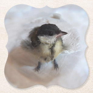 Tidi mijn vogel de Parus Major Kartonnen Onderzetters