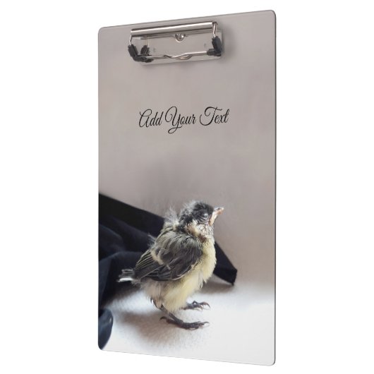 Tidi mijn vogel de Parus Major Klembord (Links)