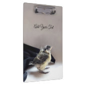 Tidi mijn vogel de Parus Major Klembord (Rechts)