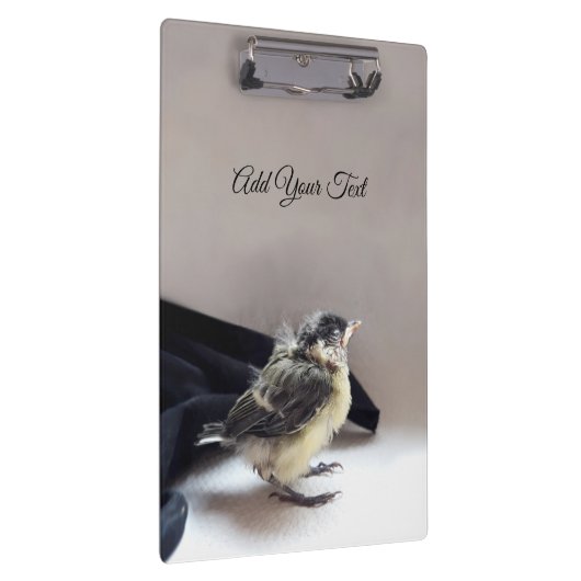 Tidi mijn vogel de Parus Major Klembord (Rechts)