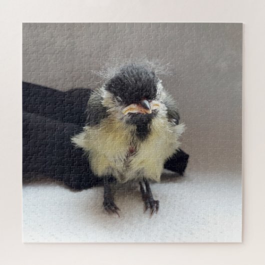 Tidi mijn vogel de Parus Major Legpuzzel (Horizontaal)