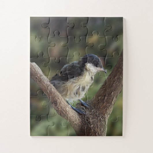Tidi mijn vogel de Parus Major Legpuzzel (Verticaal)