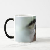 Tidi mijn vogel de Parus Major Magische Mok (Links)