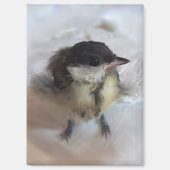 Tidi mijn vogel de Parus Major Magneet (Voorkant)