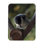 Tidi mijn vogel de Parus Major Magneet (Verticaal)