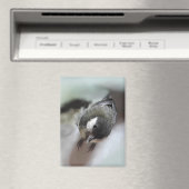 Tidi mijn vogel de Parus Major Magneet (Insitu (Vaatwasser))