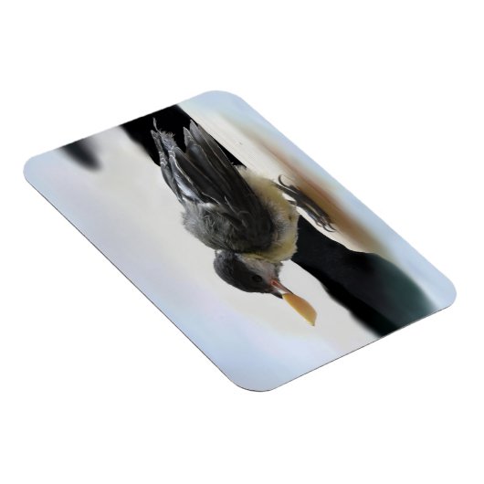 Tidi mijn vogel de Parus Major Magneet (Rechterzijde)