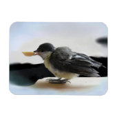 Tidi mijn vogel de Parus Major Magneet (Horizontaal)