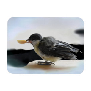 Tidi mijn vogel de Parus Major Magneet