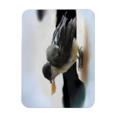 Tidi mijn vogel de Parus Major Magneet (Verticaal)