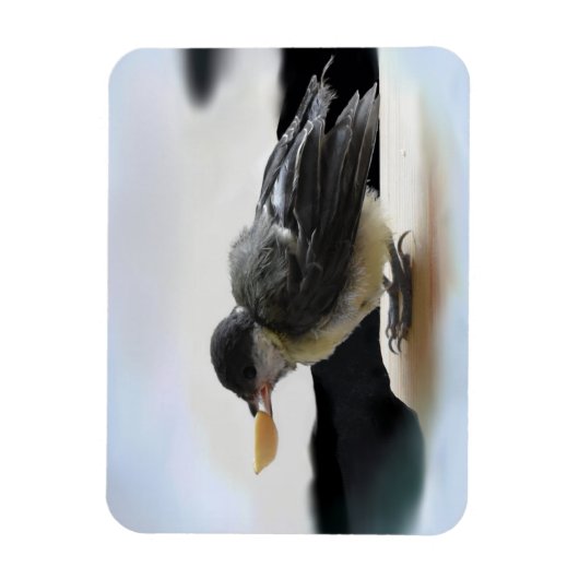Tidi mijn vogel de Parus Major Magneet (Verticaal)