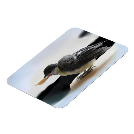 Tidi mijn vogel de Parus Major Magneet (Linkerzijde)