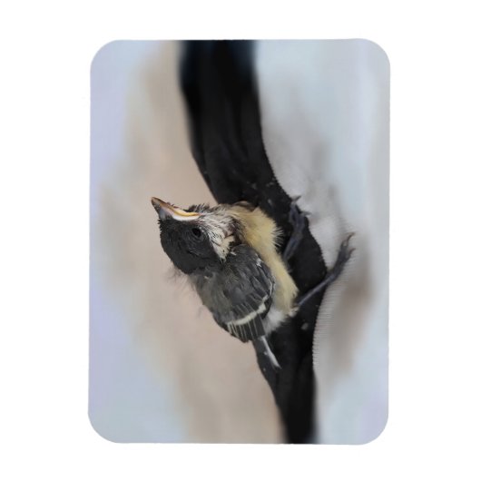 Tidi mijn vogel de Parus Major Magneet (Verticaal)