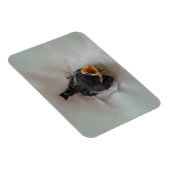 Tidi mijn vogel de Parus Major Magneet (Rechterzijde)