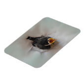 Tidi mijn vogel de Parus Major Magneet (Linkerzijde)