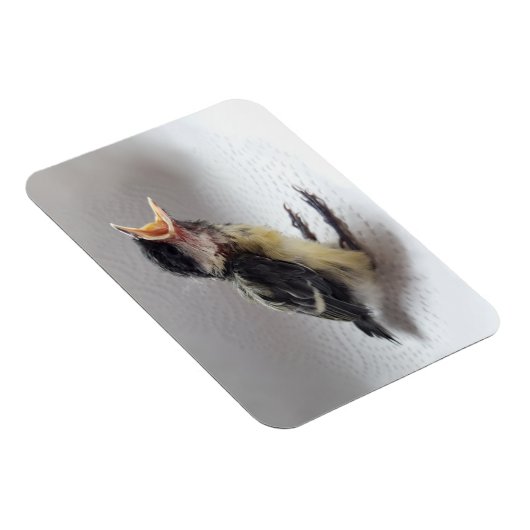 Tidi mijn vogel de Parus Major Magneet (Rechterzijde)