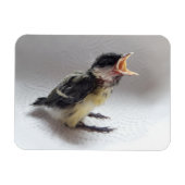 Tidi mijn vogel de Parus Major Magneet (Horizontaal)