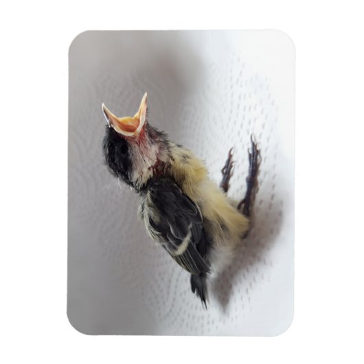 Tidi mijn vogel de Parus Major Magneet (Verticaal)