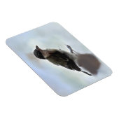 Tidi mijn vogel de Parus Major Magneet (Rechterzijde)