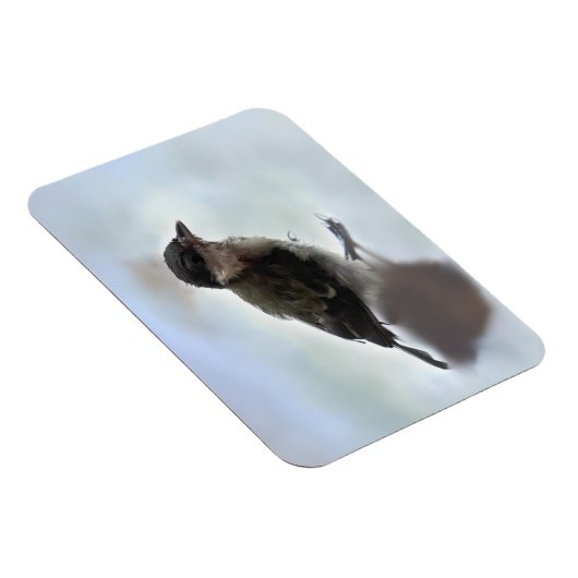 Tidi mijn vogel de Parus Major Magneet (Rechterzijde)