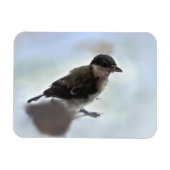 Tidi mijn vogel de Parus Major Magneet (Horizontaal)