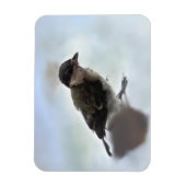 Tidi mijn vogel de Parus Major Magneet (Verticaal)
