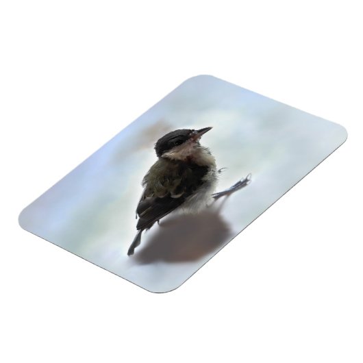 Tidi mijn vogel de Parus Major Magneet (Linkerzijde)