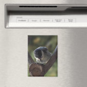 Tidi mijn vogel de Parus Major Magneet (Insitu (Vaatwasser))