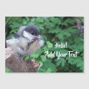 Tidi mijn vogel de Parus Major Magnetic Card
