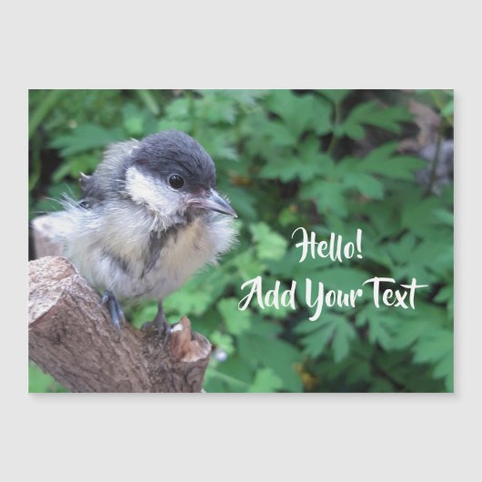 Tidi mijn vogel de Parus Major Magnetic Card (Voorkant)